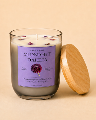 Midnight Dahlia
